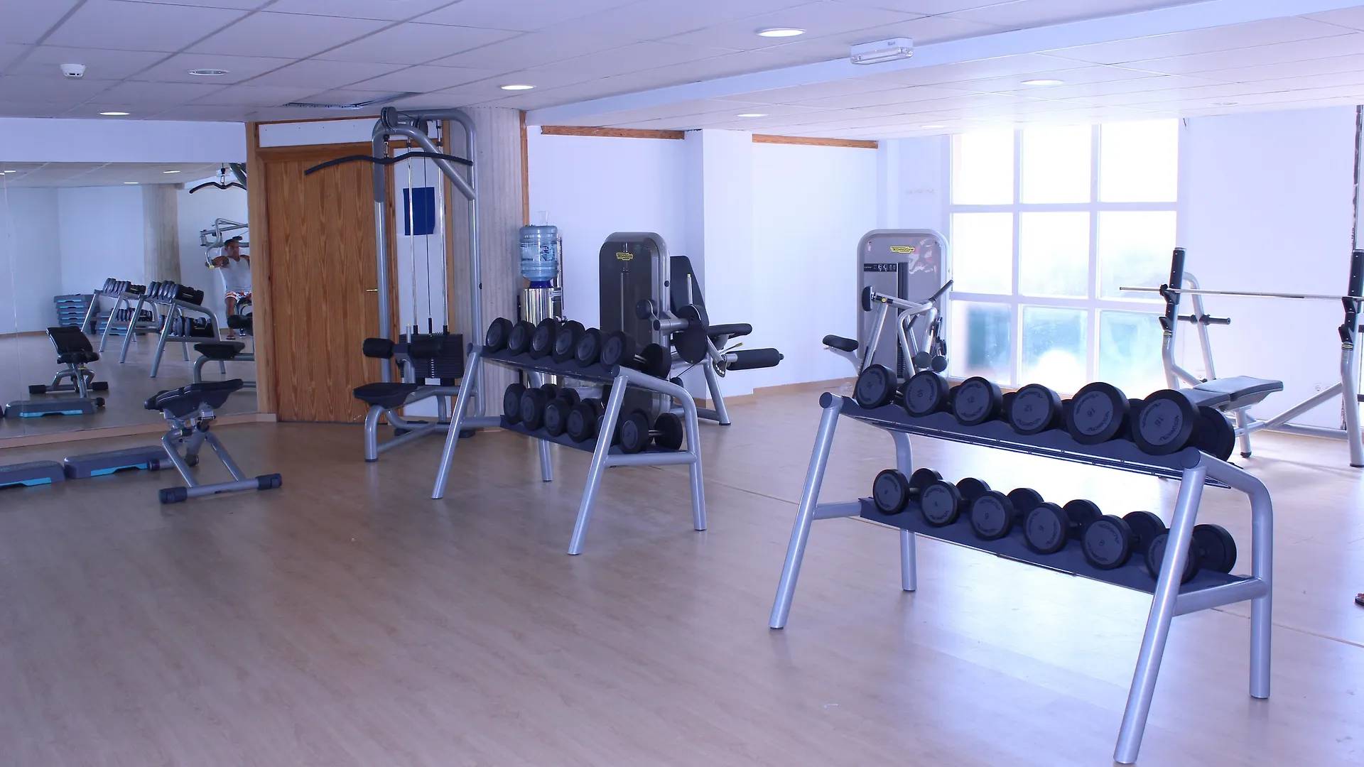 Hotel Fergus Club Palmanova Park Espagne